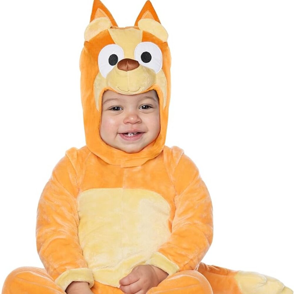 Baby Bingo Costume, Halloween, Bluey, 6-12 months
